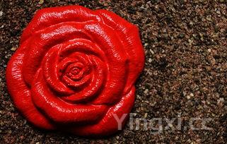 手工花馍100种,做花，手工花馍100种