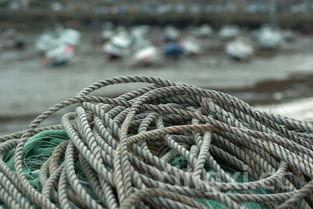 茶树菇不焯水可以吃吗,茶树菇不焯水有毒吗