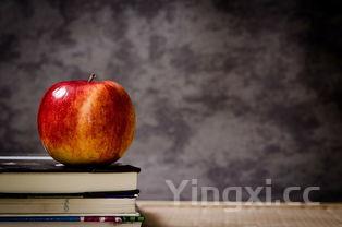 学做南瓜饼，学做南瓜饼全过程教材