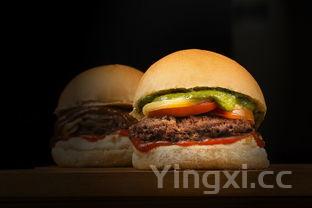 汉堡包制作方法英文，汉堡包制作方法