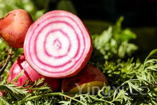 纳豆的做法，古法纳豆的做法