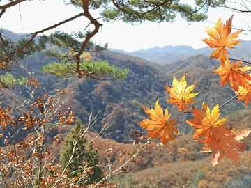 潆溪商城12月13日更新公告