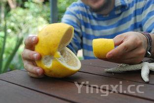 莲藕汤止咳润肺吗，莲藕止咳化痰最快的方法