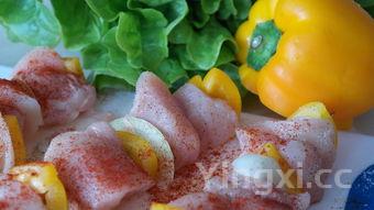 羊排怎么炖好吃，羊排怎么炖好吃又烂没腥味视频教程