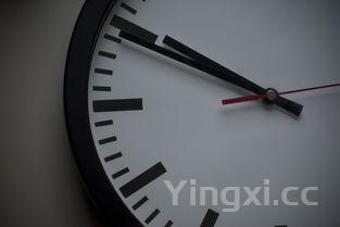 微波炉烤蛋挞要几分钟，微波炉做蛋挞用什么火多长时间