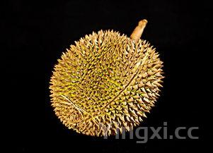 榴莲番薯图片，番薯图片