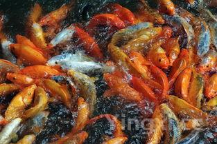 梅菜扣肉怎么做最好吃，梅菜扣肉怎么做小视频