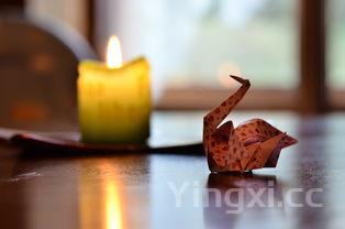 寿司醋的制作方法视频，自制寿司醋的做法和材料