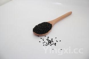 黑芝麻汤圆，黑芝麻汤圆朱标