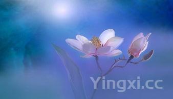 韭菜炒鸡蛋的热量，韭菜炒鸡蛋