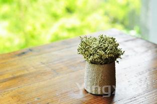 小白菜排骨汤的做法视频，小白菜排骨汤的做法