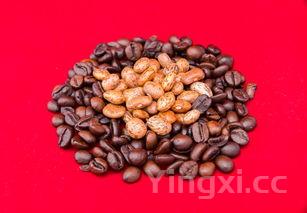 香哈菜谱大全500例，香哈菜谱大全