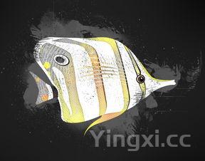 豆腐鱼是什么鱼是海鱼吗，豆腐鱼是什么鱼