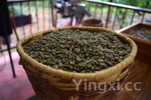 家常小炒菜怎么做，家常小炒菜谱做法