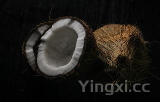 椰子怎么开壳取肉，椰子怎么开壳取肉带壳