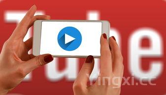 家常菜做法app，家常菜做法app去广告版