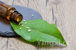 生绿豆芽的方法全过程，生绿豆芽的方法