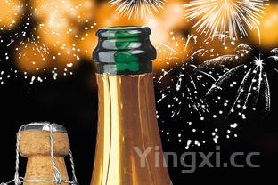 桑椹酒的制作方法，糯米桑葚酒的制作方法