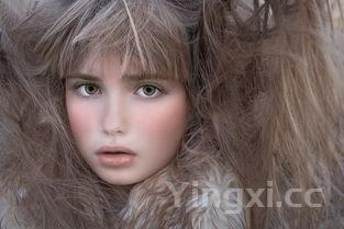 扳倒井典藏52度价格表,扳倒井典藏52度怎么样