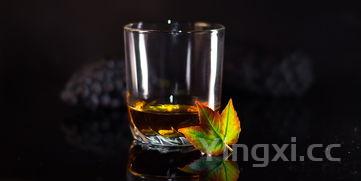 酿葡萄酒的方法与步骤，专业酿葡萄酒的方法步骤