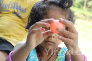 口子酒好喝还是口子窖好喝,口子酒和口子窖哪个贵