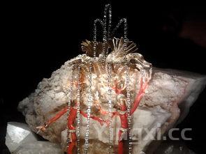 基围虾是淡水还是海水养的贵，基围虾是淡水还是海水养的