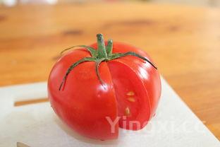 西红柿,西红柿炖牛腩怎么炖