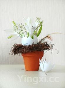 芦苇图片,芦苇图片唯美