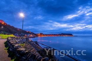 蓝鳍金枪鱼2000万人民,蓝鳍金枪鱼最贵多少钱一斤