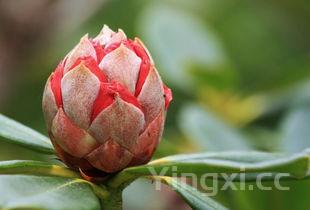 自己想开花店去哪里学,新手如何开蛋糕店 自己想开花店去哪里学,新手如何开蛋糕店