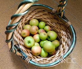 自己想开花店去哪里学,新手如何开蛋糕店