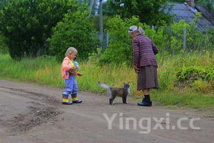 重阳节的习俗,重阳节的风俗传统有哪些
