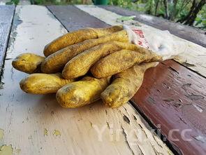 烧烤品种大全图片，烧烤种类大全带图片