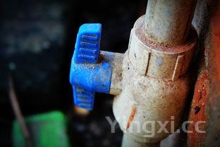 石榴怎么剥皮小妙招视频，石榴怎样剥皮最省事儿