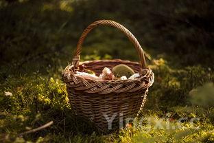 竹笋怎么焯水去涩味,竹笋的正确焯水方法才不苦