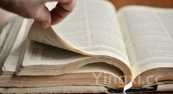 学煮面条的作文300字,学煮面条