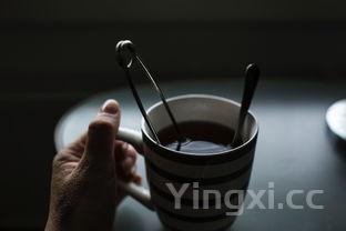 酿葡萄酒的配方和比例,酿制葡萄酒的做法步骤