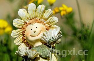 三种人坚决不能吃桂花，哪些人不能喝桂花茶