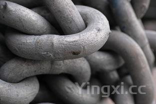 五种人不宜吃黑豆,湿气重的人为什么不能吃黑豆