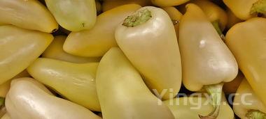 腌辣椒的制作方法全过程,腌辣椒的制作方法