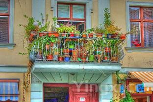 水果店加盟店10大品牌，水果店加盟店10大品牌排行榜