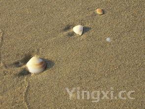 水淀粉怎么调，水淀粉怎么调可以用面粉吗