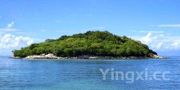 中国海参之乡是哪里，海参哪里的产地最好