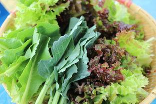 炒生菜怎么炒才好吃,炒时蔬是什么菜