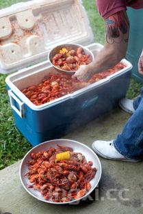 营养师配餐300例，营养师配餐如何收费