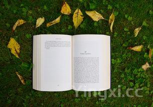 果汁的英文怎么读,果汁的英文