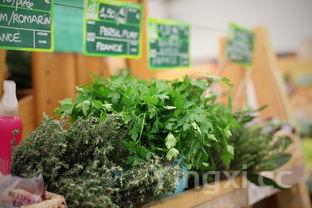 槐花怎么保存,槐花怎么保存能更好保留原味