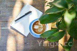 苦瓜怎样做才好吃，苦瓜怎样做才好吃有视频吗