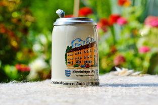 国内哪里买无酒精啤酒，哪里买精酿啤酒便宜