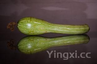 西葫芦最佳搭配蔬菜，西葫芦最佳搭配